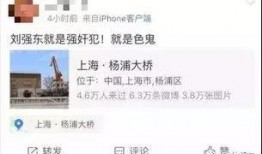 乐山酒店爆料案件视频曝光,真相揭开，疑云散去